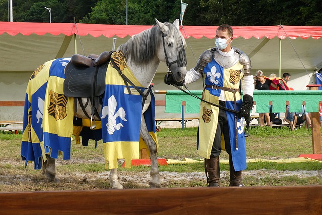 期间战绩不 期间战绩不