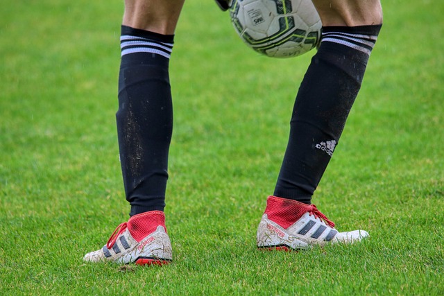 NBA最新排名：库里52分勇士升西部第5 约基奇空砍61分被湖人逼近 - 罗说NBA.