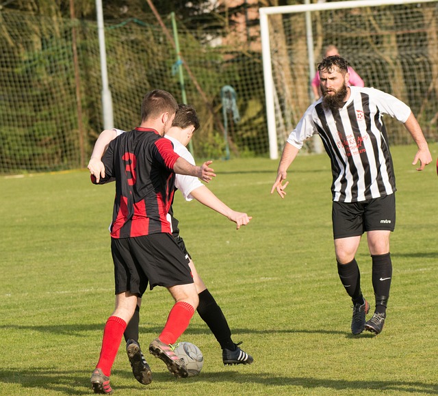 丹佛掘金的 丹佛掘金的