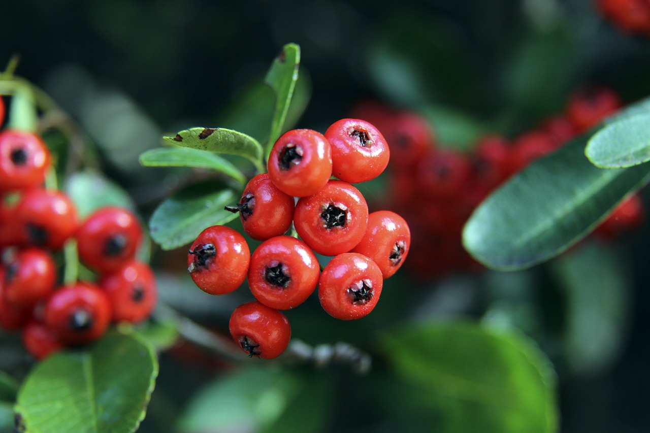 凱塔以出色 凱塔以出色