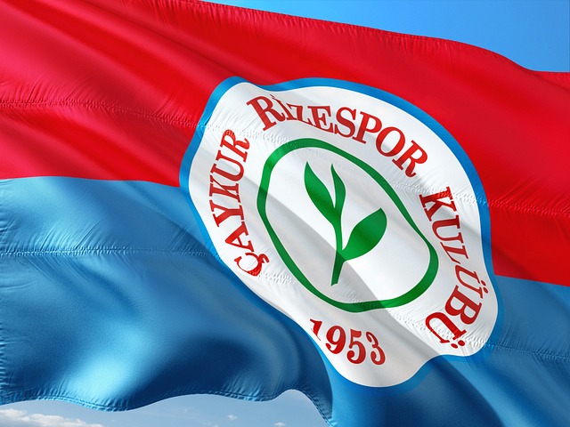 色的意识 色的意识