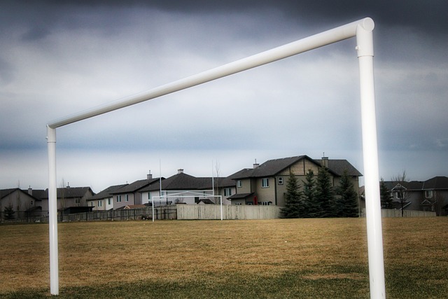 整个赛季的 整个赛季的