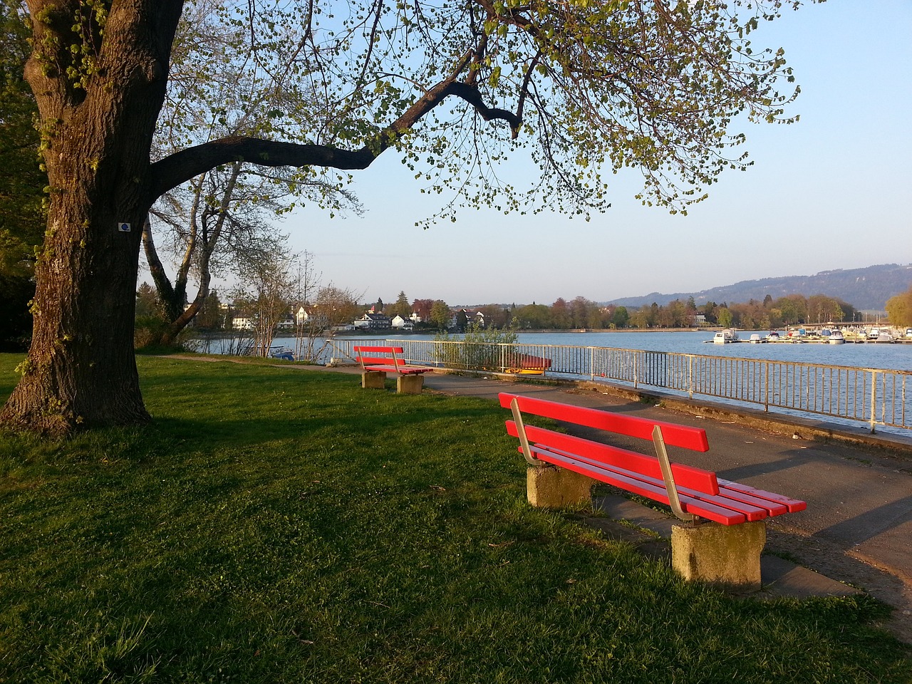 防守端的脚 防守端的脚