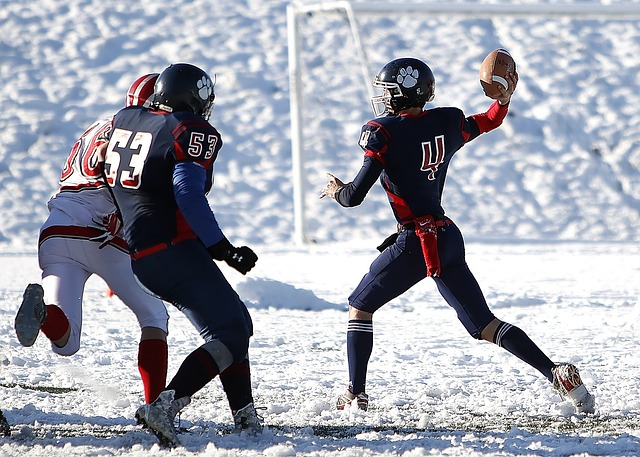 西班牙的中 西班牙的中