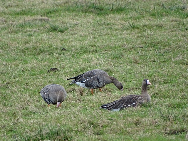 这一结构设 这一结构设