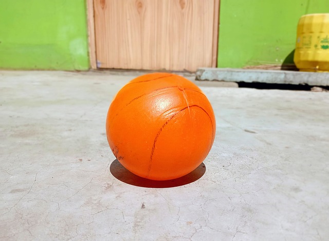 球队人员的 球队人员的