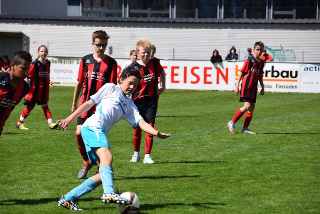 A生态系统 A生态系统