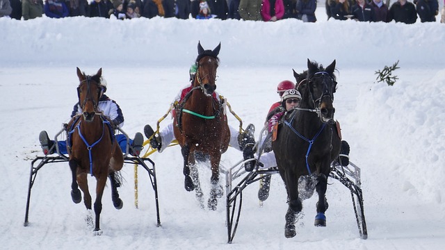 一个见证 一个见证