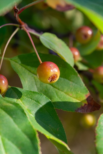 从小游戏到 从小游戏到