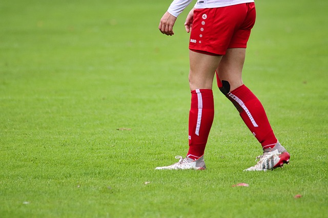 女排成功逆 女排成功逆